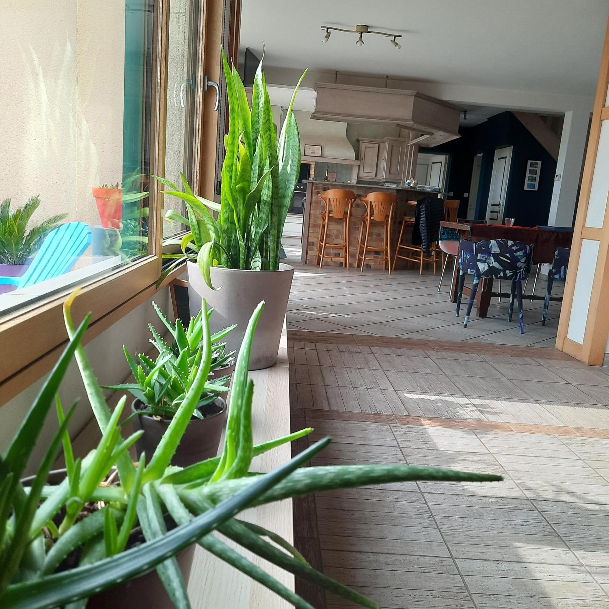 Magnifique Villa Avec Piscine Interieure Saint-Pois Extérieur photo